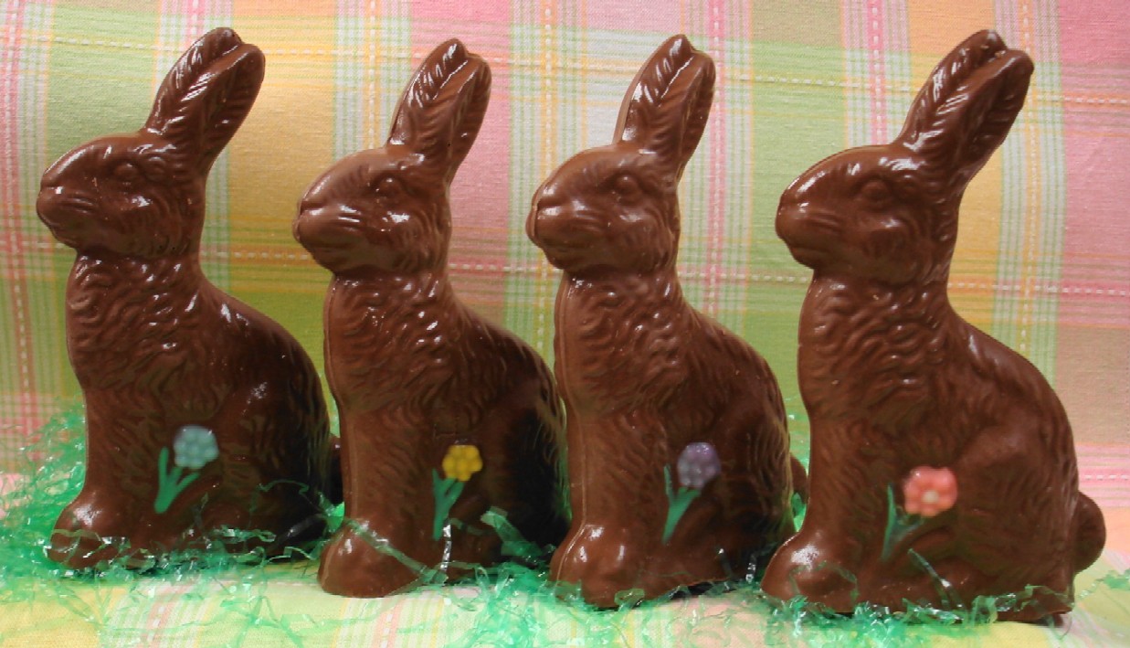 chocolate-bunny-with-flower