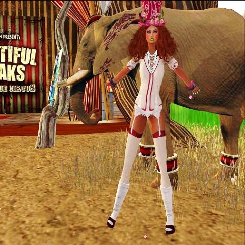 circus with elephant
