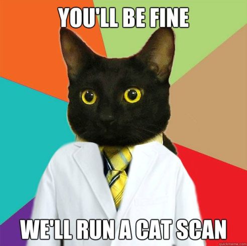 black cat doctor